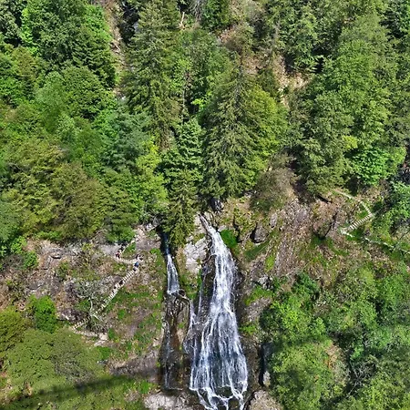 03 - Ferienresidenz Roseneck, Mit Schwimmbad In Bei Feldberg * Todtnauberg